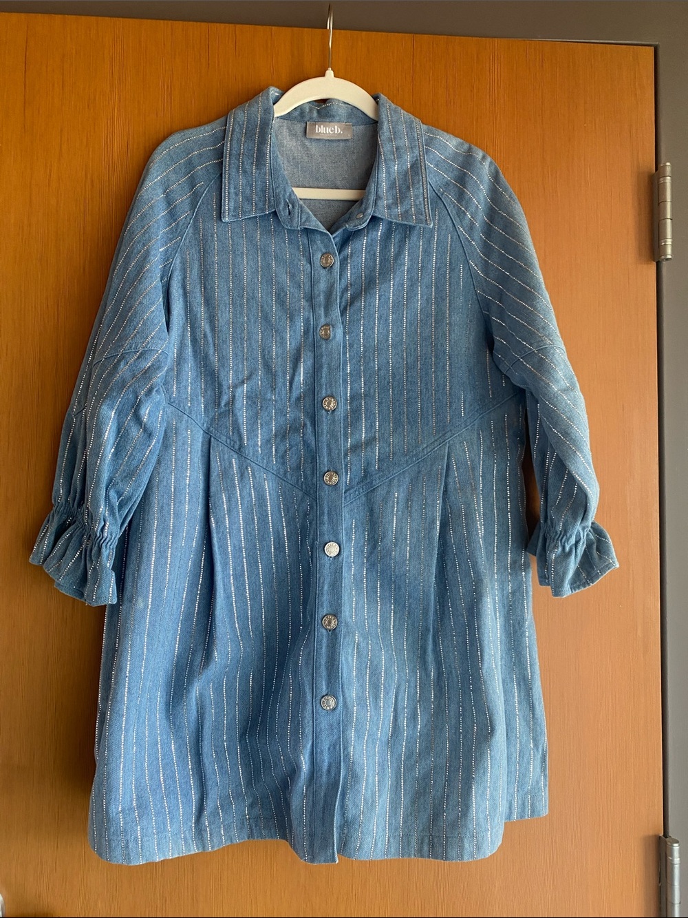 Blue b Rhinestoned Button-down Dress